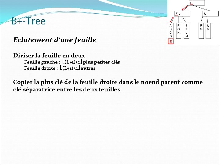 B+-Tree Eclatement d’une feuille Diviser la feuille en deux Feuille gauche : (L+1)/2 plus