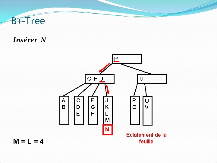 B+-Tree Insérer N P C F J A B C D E F G