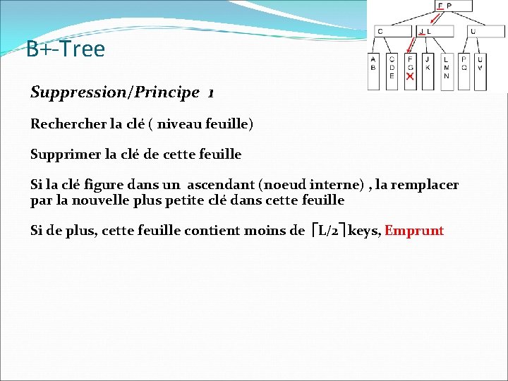 B+-Tree Suppression/Principe 1 Recher la clé ( niveau feuille) Supprimer la clé de cette