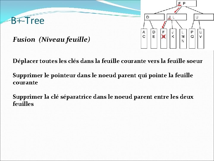 B+-Tree Fusion (Niveau feuille) Déplacer toutes les clés dans la feuille courante vers la