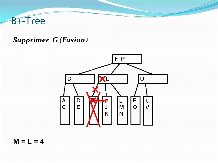 B+-Tree Supprimer G (Fusion) F P D A C M=L=4 J L D E