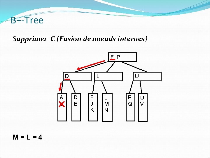 B+-Tree Supprimer C (Fusion de noeuds internes) F P D A C M=L=4 L