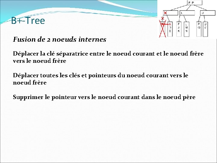 B+-Tree Fusion de 2 noeuds internes Déplacer la clé séparatrice entre le noeud courant