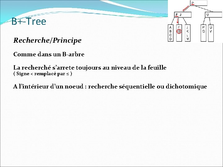 B+-Tree Recherche/Principe Comme dans un B-arbre La recherché s’arrete toujours au niveau de la