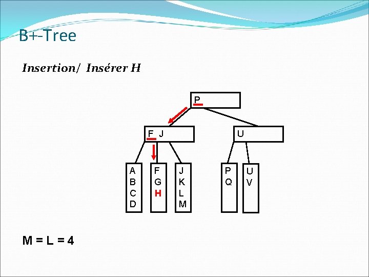 B+-Tree Insertion/ Insérer H P F J A B C D M=L=4 F G