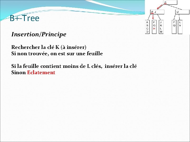 B+-Tree Insertion/Principe Recher la clé K (à insérer) Si non trouvée, on est sur