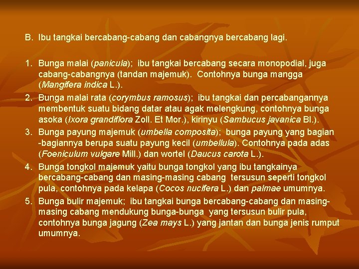 B. Ibu tangkai bercabang-cabang dan cabangnya bercabang lagi. 1. Bunga malai (panicula ); ibu