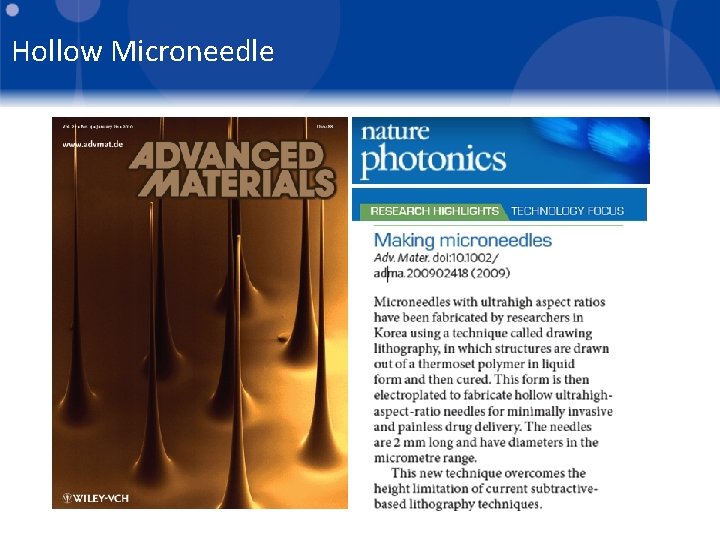 Hollow Microneedle 