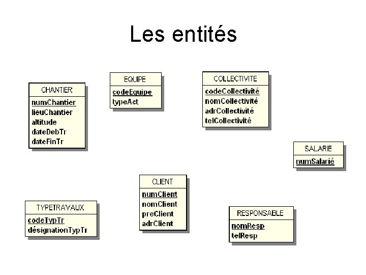 Les entités 