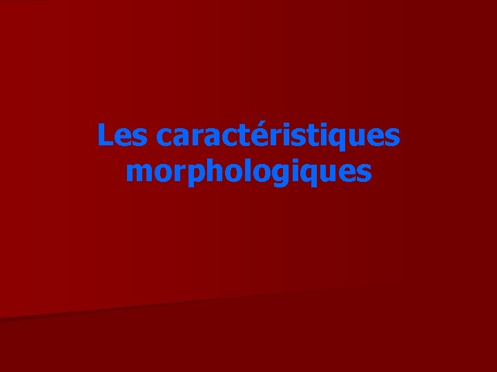 Les caractéristiques morphologiques 