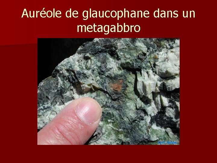 Auréole de glaucophane dans un metagabbro 