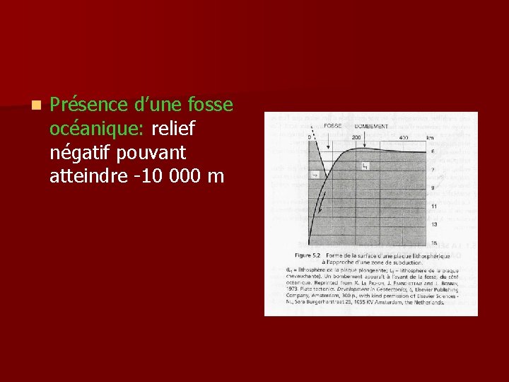 n Présence d’une fosse océanique: relief négatif pouvant atteindre -10 000 m 