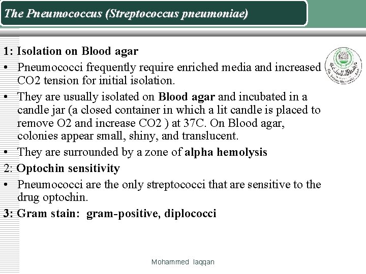 The Pneumococcus (Streptococcus pneumoniae) 1: Isolation on Blood agar • Pneumococci frequently require enriched