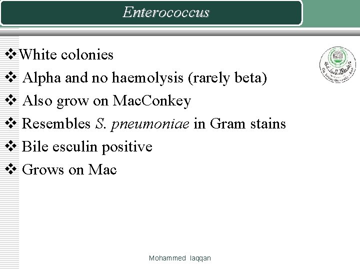 Enterococcus v. White colonies v Alpha and no haemolysis (rarely beta) v Also grow