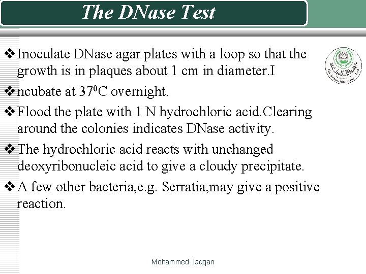 The DNase Test v Inoculate DNase agar plates with a loop so that the