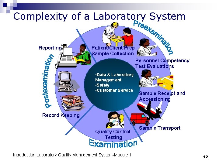 Complexity of a Laboratory System Reporting Patient/Client Prep Sample Collection Personnel Competency Test Evaluations