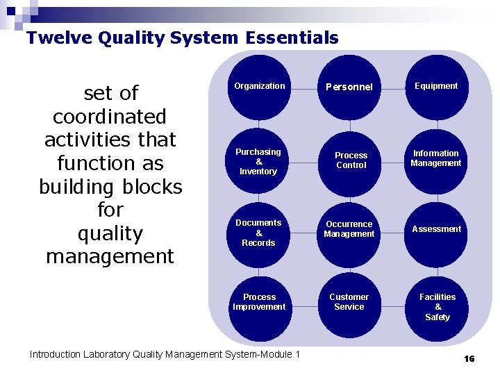 Twelve Quality System Essentials set of coordinated activities that function as building blocks for
