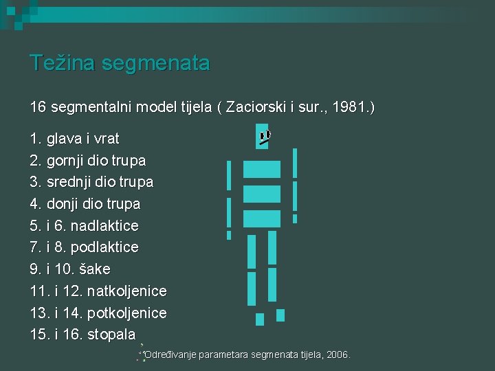 Težina segmenata 16 segmentalni model tijela ( Zaciorski i sur. , 1981. ) 1.