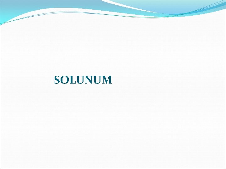 SOLUNUM 