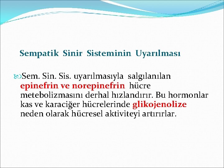 Sempatik Sinir Sisteminin Uyarılması Sem. Sin. Sis. uyarılmasıyla salgılan epinefrin ve norepinefrin hücre metebolizmasını