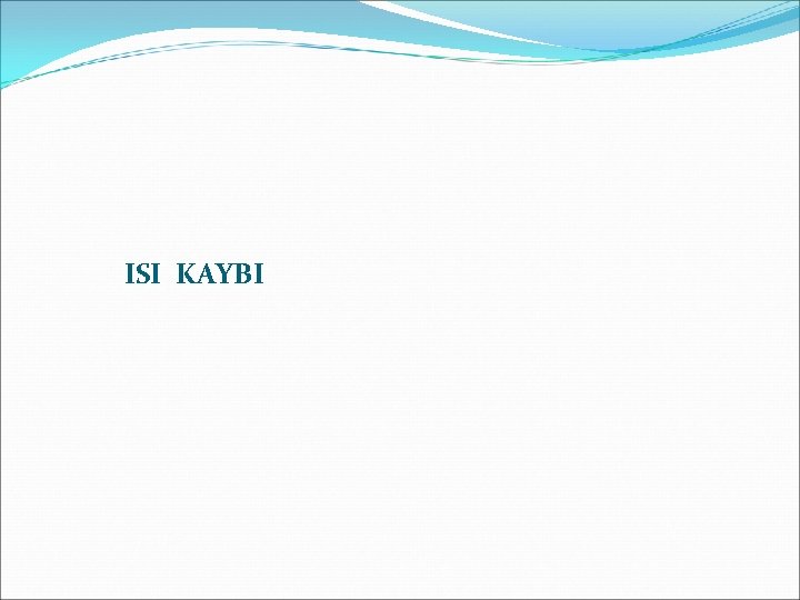 ISI KAYBI 