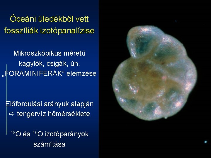 Óceáni üledékből vett fosszíliák izotópanalízise Mikroszkópikus méretű kagylók, csigák, ún. „FORAMINIFERÁK” elemzése Előfordulási arányuk