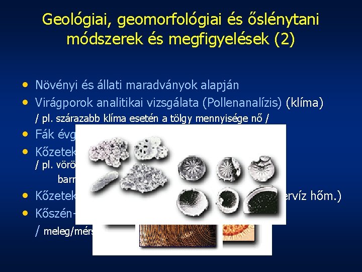 Geológiai, geomorfológiai és őslénytani módszerek és megfigyelések (2) • Növényi és állati maradványok alapján