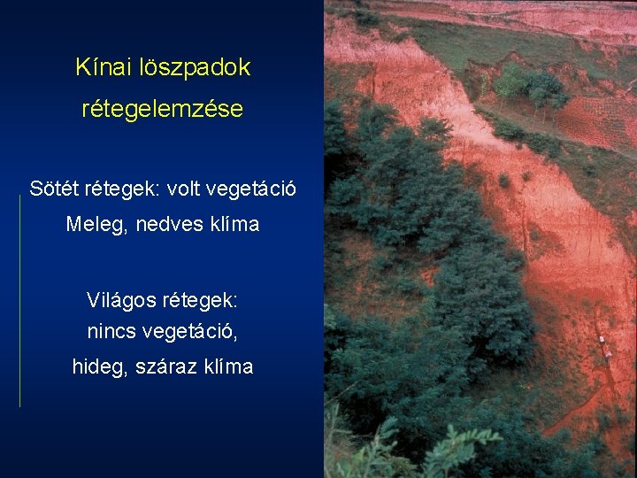 Kínai löszpadok rétegelemzése Sötét rétegek: volt vegetáció Meleg, nedves klíma Világos rétegek: nincs vegetáció,