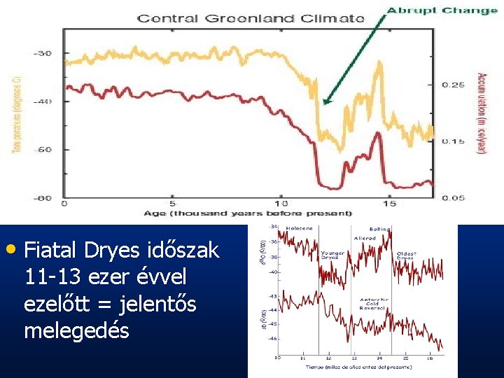  • Fiatal Dryes időszak 11 -13 ezer évvel ezelőtt = jelentős melegedés 