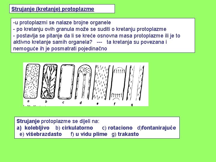 Strujanje (kretanje) protoplazme -u protoplazmi se nalaze brojne organele - po kretanju ovih granula