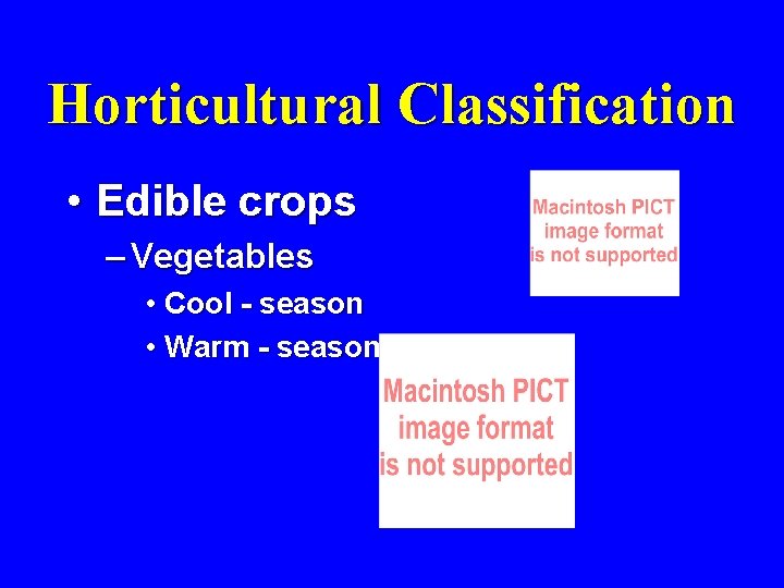 Horticultural Classification • Edible crops – Vegetables • Cool - season • Warm -