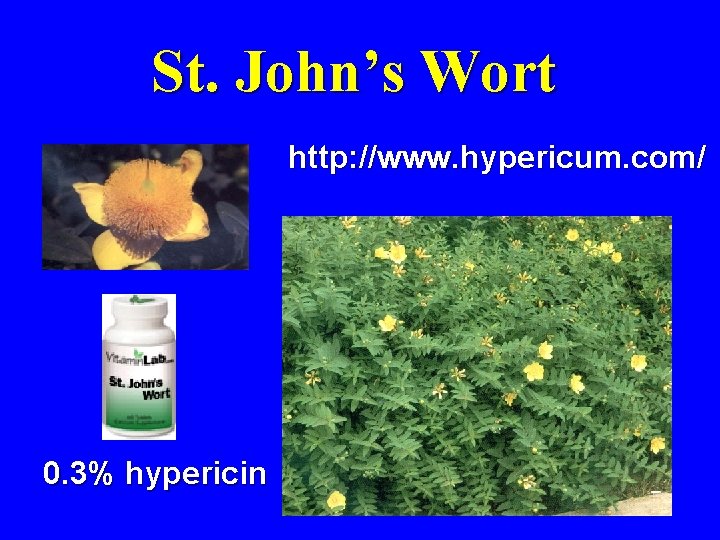 St. John’s Wort http: //www. hypericum. com/ 0. 3% hypericin 