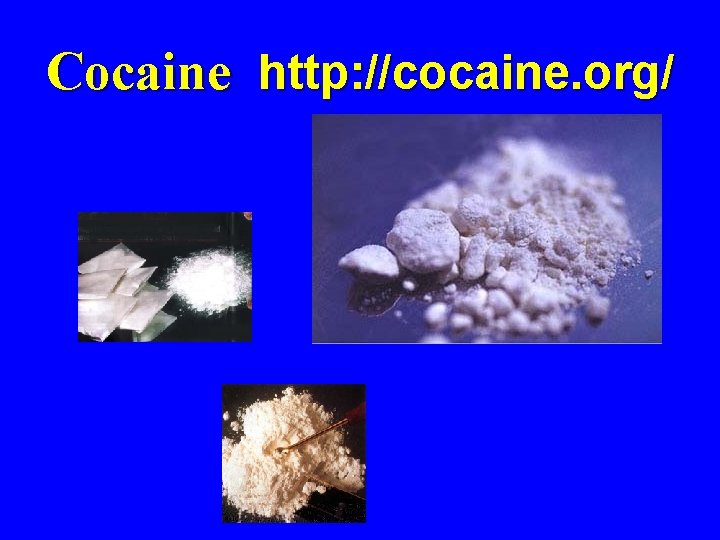 Cocaine http: //cocaine. org/ 