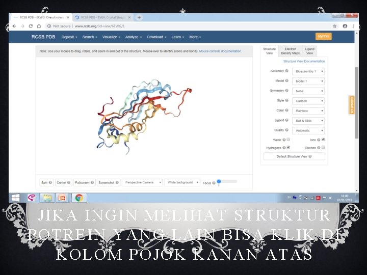 JIKA INGIN MELIHAT STRUKTUR POTREIN YANG LAIN BISA KLIK DI KOLOM POJOK KANAN ATAS