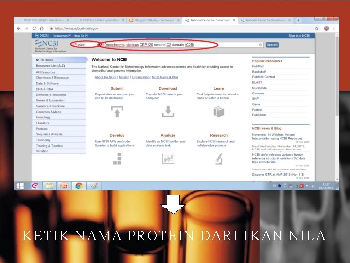 KETIK NAMA PROTEIN DARI IKAN NILA 