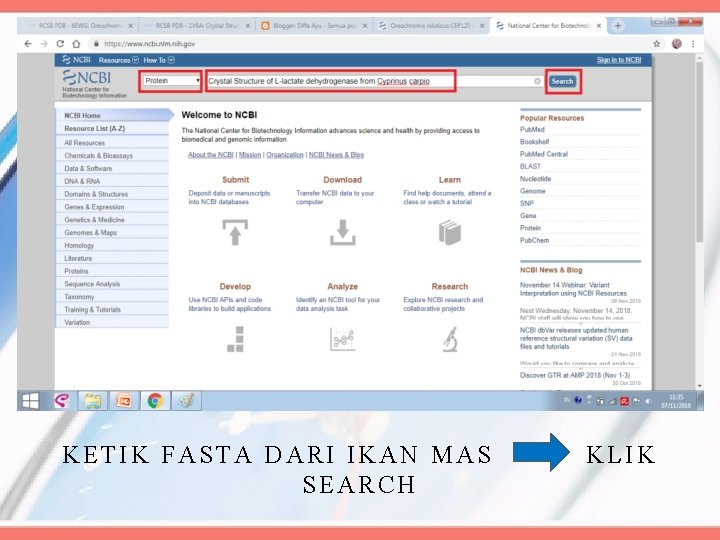 KETIK FASTA DARI IKAN MAS KLIK SEARCH 