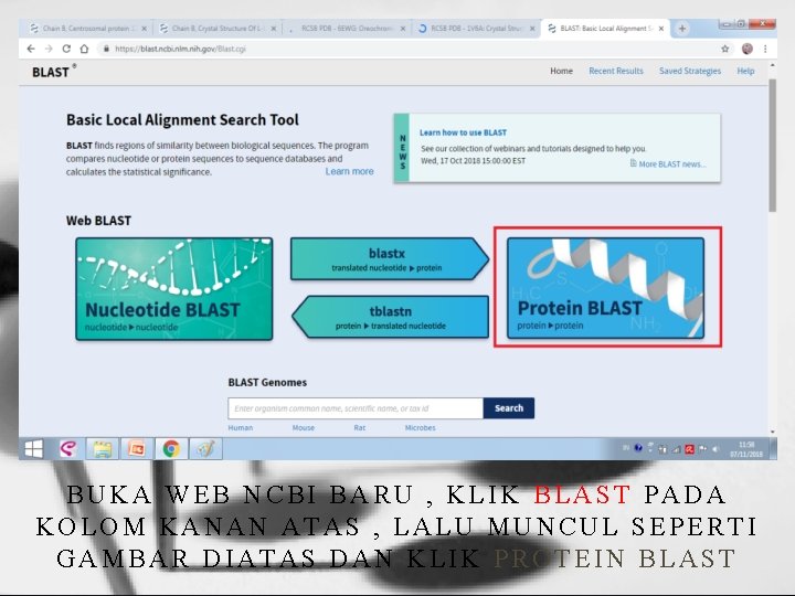 BUKA WEB NCBI BARU , KLIK BLAST PADA KOLOM KANAN ATAS , LALU MUNCUL