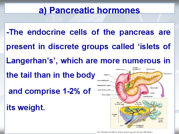 a) Pancreatic hormones -The endocrine cells of the pancreas are present in discrete groups a) Pancreatic hormones -The endocrine cells of the pancreas are present in discrete groups