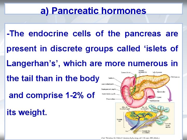 a) Pancreatic hormones -The endocrine cells of the pancreas are present in discrete groups