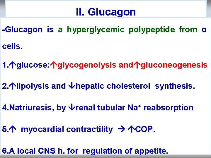 II. Glucagon -Glucagon is a hyperglycemic polypeptide from α cells. 1. glucose: glycogenolysis and II. Glucagon -Glucagon is a hyperglycemic polypeptide from α cells. 1. glucose: glycogenolysis and