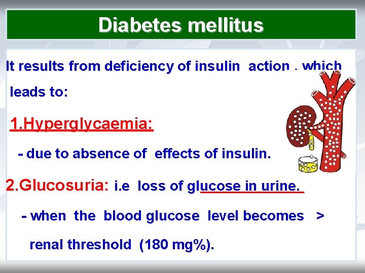 Diabetes mellitus It results from deficiency of insulin action , which leads to: 1.