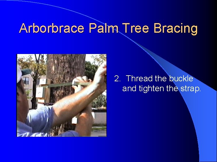 Arborbrace Palm Tree Bracing 2. Thread the buckle and tighten the strap. 