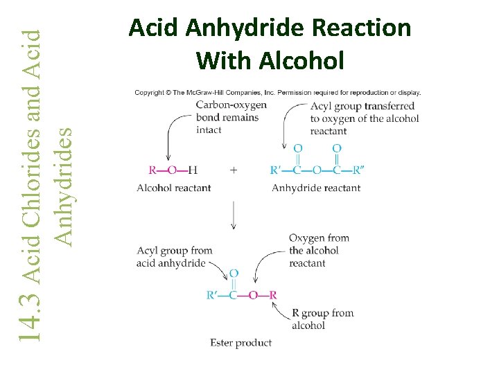 Anhydrides 14. 3 Acid Chlorides and Acid Anhydride Reaction With Alcohol 