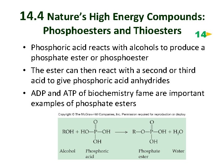 14. 4 Nature’s High Energy Compounds: Phosphoesters and Thioesters 14 • Phosphoric acid reacts