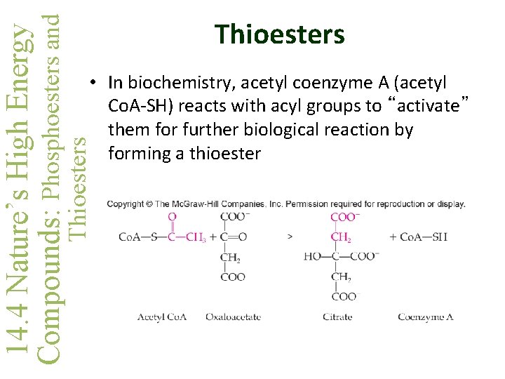  • In biochemistry, acetyl coenzyme A (acetyl Co. A-SH) reacts with acyl groups