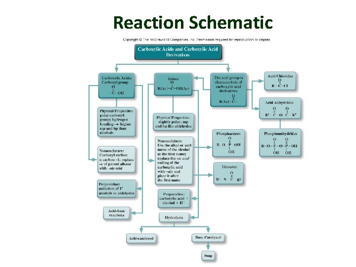 Reaction Schematic 