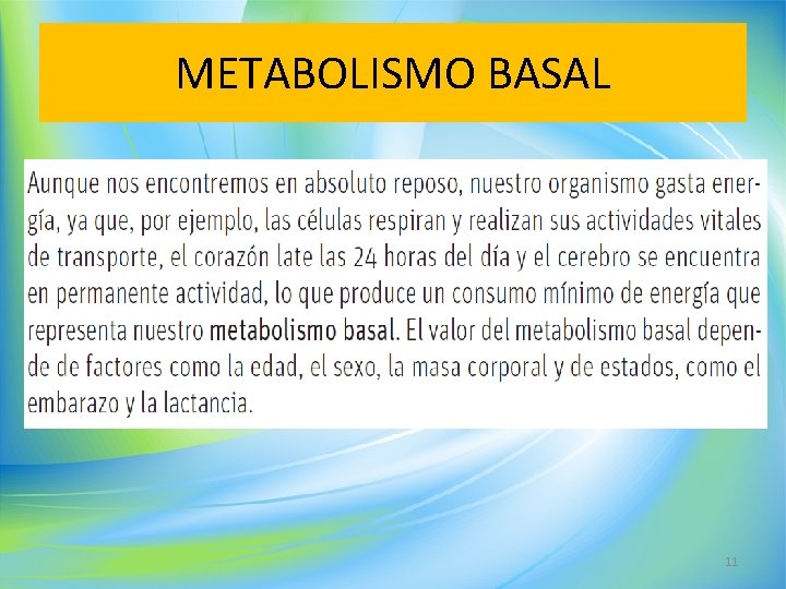 METABOLISMO BASAL 11 