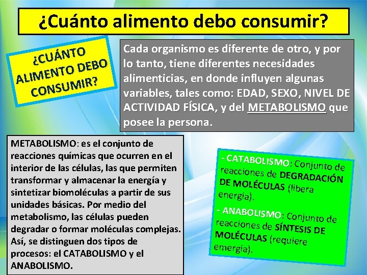 ¿Cuánto alimento debo consumir? O T N Á U ¿C O B E D