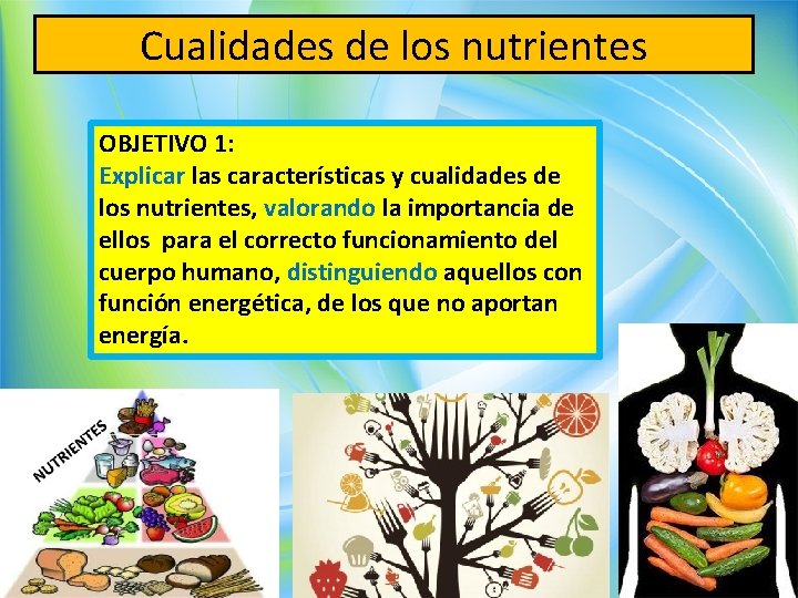 Cualidades de los nutrientes OBJETIVO 1: Explicar las características y cualidades de los nutrientes,