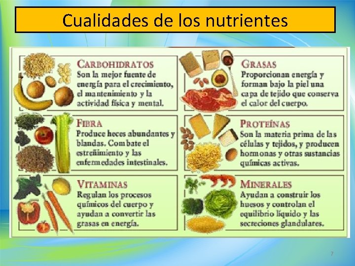 Cualidades de los nutrientes 7 